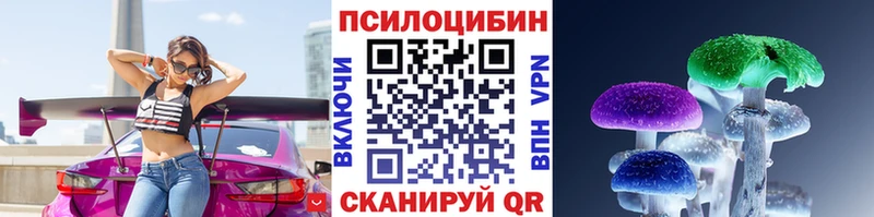 Галлюциногенные грибы Psilocybe  продажа наркотиков  kraken tor  Алейск 