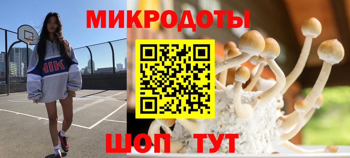 Псилоцибиновые грибы Cubensis Алейск