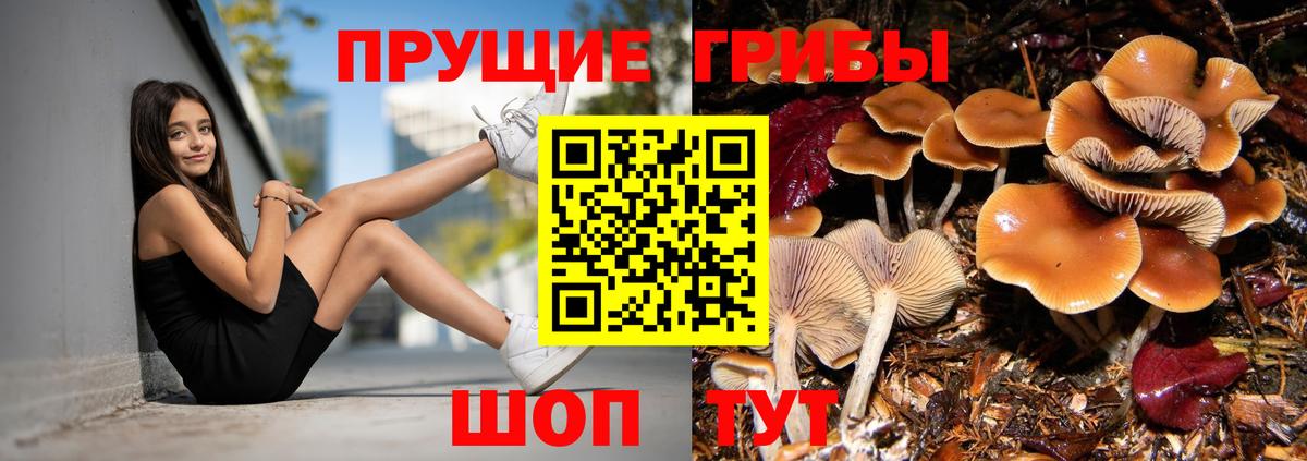 Галлюциногенные грибы Psilocybine cubensis  Вход с VPN  Алейск 