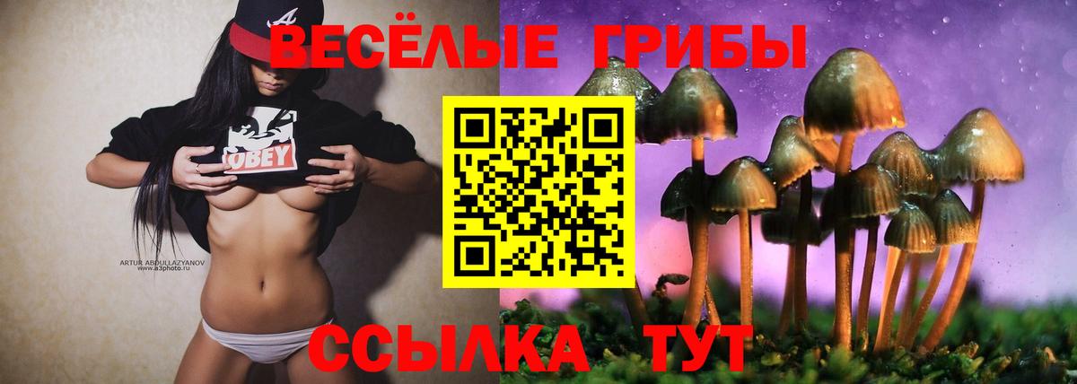 MDMA  Алейск  МЕФ кристаллы  Вход с VPN  Гашиш  Кокаин  Канабис 