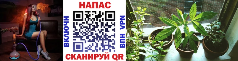 Бошки марихуана Ganja Алейск